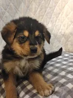 processed/e628ee3b-dcda-4fad-8618-a6bbf4165c61/listing/ee0a9c7c-12bc-4ef0-8f51-83282aada124/6a433faa-2b8a-4352-906a-380828263846