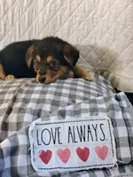 processed/e628ee3b-dcda-4fad-8618-a6bbf4165c61/listing/ee0a9c7c-12bc-4ef0-8f51-83282aada124/798eb44f-c0bf-452a-9e9d-8e33cc51efa6