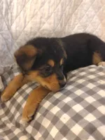 processed/e628ee3b-dcda-4fad-8618-a6bbf4165c61/listing/ee0a9c7c-12bc-4ef0-8f51-83282aada124/86b0a6f7-b148-46d5-9d48-f1a7284e97ff