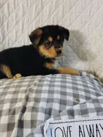 processed/e628ee3b-dcda-4fad-8618-a6bbf4165c61/listing/ee0a9c7c-12bc-4ef0-8f51-83282aada124/965fc422-bd02-40e2-b00e-48d82ee875fc