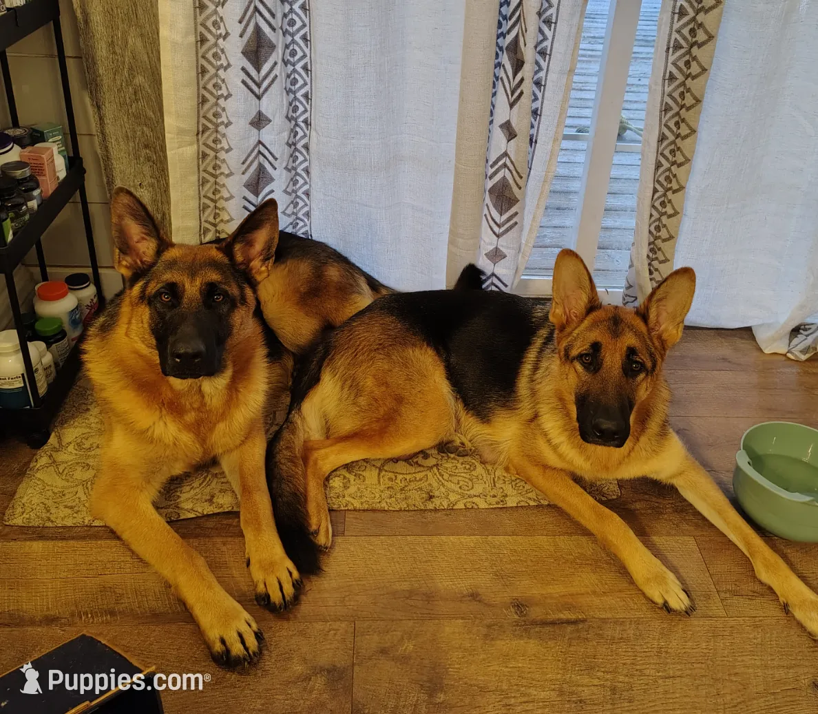 processed/e628ee3b-dcda-4fad-8618-a6bbf4165c61/listing/ee0a9c7c-12bc-4ef0-8f51-83282aada124/bdbd51e7-a8fe-4e59-9434-d14e6195a61e