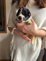 processed/e6345096-d7df-453c-a24f-052689721886/listing/31ea99de-f45a-4acb-868c-d13af6240acd/ec5d73ba-6583-4226-a0bc-25d4d0a30868