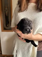 processed/e6345096-d7df-453c-a24f-052689721886/listing/abd20e0b-4546-4e9b-9a69-4c0576d563d6/3e1da79b-da4b-40ba-aab4-96dac33297c2