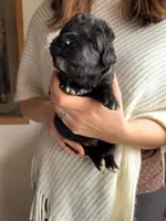 processed/e6345096-d7df-453c-a24f-052689721886/listing/abd20e0b-4546-4e9b-9a69-4c0576d563d6/5ec6fc1e-4a19-4055-8f2e-0dba60e54078