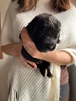 processed/e6345096-d7df-453c-a24f-052689721886/listing/abd20e0b-4546-4e9b-9a69-4c0576d563d6/8b435e84-572f-459d-b5a6-e8670b35e3e5