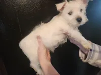 processed/e638d068-d00b-4ab1-be9e-358e73317a57/listing/1eb7229a-9cce-49e8-8c3d-df9ea0af8dc8/140f01ad-be56-4371-92a9-5bbcf4036b76