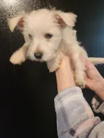 processed/e638d068-d00b-4ab1-be9e-358e73317a57/listing/1eb7229a-9cce-49e8-8c3d-df9ea0af8dc8/b33a7050-80de-4ca6-a5db-999d60015a5b