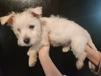 processed/e638d068-d00b-4ab1-be9e-358e73317a57/listing/2e5bffaa-c7af-42c0-bc3e-7aed5f87d5fb/98c431b7-b2e8-45b5-8059-b6610307e2be