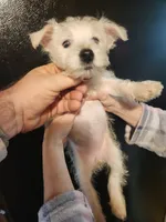 processed/e638d068-d00b-4ab1-be9e-358e73317a57/listing/2e5bffaa-c7af-42c0-bc3e-7aed5f87d5fb/cfaac114-f606-44d1-805e-339a3903ac2d