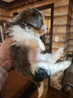 processed/e638d068-d00b-4ab1-be9e-358e73317a57/listing/b2713c1b-e2bb-4764-8da1-c11377e67877/0265401c-a8c8-4eaf-b30d-5df4365831c4