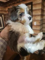 processed/e638d068-d00b-4ab1-be9e-358e73317a57/listing/b2713c1b-e2bb-4764-8da1-c11377e67877/557c1037-4ced-4eda-a172-fea5477cde6a