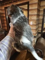 processed/e638d068-d00b-4ab1-be9e-358e73317a57/listing/b2713c1b-e2bb-4764-8da1-c11377e67877/662a6746-e9ff-47df-a887-8512ddd95b33