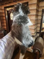 processed/e638d068-d00b-4ab1-be9e-358e73317a57/listing/b2713c1b-e2bb-4764-8da1-c11377e67877/75b63983-220a-4256-b751-a55d7d64112a