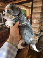 processed/e638d068-d00b-4ab1-be9e-358e73317a57/listing/b2713c1b-e2bb-4764-8da1-c11377e67877/93d84d29-b398-4780-a54a-5400adbd1449