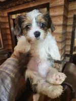 processed/e638d068-d00b-4ab1-be9e-358e73317a57/listing/b2713c1b-e2bb-4764-8da1-c11377e67877/c687dafa-3bf7-40f9-9c70-b06273225d52