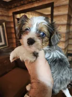 processed/e638d068-d00b-4ab1-be9e-358e73317a57/listing/b2713c1b-e2bb-4764-8da1-c11377e67877/cae5e7f1-909e-487e-ad6c-bd389b7e0004