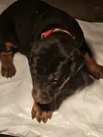 processed/e63ff261-160f-489b-9159-021f4792c85f/listing/846cff0b-7ef6-4a38-9d2e-c7c9d873dc0c/085364ee-a753-46cf-ae8f-88b62466d9b8