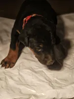 processed/e63ff261-160f-489b-9159-021f4792c85f/listing/846cff0b-7ef6-4a38-9d2e-c7c9d873dc0c/53758d5e-1fa4-47b5-b9ed-805f5cd365e4