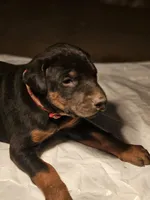 processed/e63ff261-160f-489b-9159-021f4792c85f/listing/846cff0b-7ef6-4a38-9d2e-c7c9d873dc0c/d26a658f-9589-4eee-a6b3-a2c2611e1a56