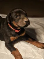 processed/e63ff261-160f-489b-9159-021f4792c85f/listing/846cff0b-7ef6-4a38-9d2e-c7c9d873dc0c/d31a0b68-d5d3-48a4-9381-17605bc139fe