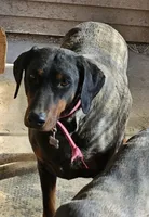 processed/e63ff261-160f-489b-9159-021f4792c85f/listing/f2ad4a4f-1bbf-4061-b4ab-c9f57536098f/38f4bb8c-cf4c-4b71-8025-d9c193b5eba5