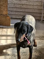 processed/e63ff261-160f-489b-9159-021f4792c85f/listing/f2ad4a4f-1bbf-4061-b4ab-c9f57536098f/3e06d621-1129-4a47-a5bb-d11036824c79