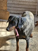 processed/e63ff261-160f-489b-9159-021f4792c85f/listing/f2ad4a4f-1bbf-4061-b4ab-c9f57536098f/57968fa7-01cb-4f9e-b9c6-631ebc3810dd