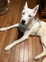 processed/e6427566-e2c9-497c-b644-e87bf2b29551/listing/cbf1b135-b5e8-4a4a-abce-3781477d4aea/dee84e5e-a8cf-48fb-ac4f-41a97c02f510