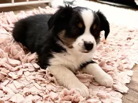 processed/e64b04ad-3050-471d-b0b2-bbe1ba7b2ec5/listing/82e5d87f-61af-4e23-90ce-df2ed26b1125/3a4831f7-afbb-4578-a45d-b85dfde15377