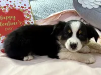 processed/e64b04ad-3050-471d-b0b2-bbe1ba7b2ec5/listing/82e5d87f-61af-4e23-90ce-df2ed26b1125/4d8a311c-15ba-43b3-b6d6-f78bad6f5f0c