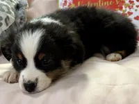 processed/e64b04ad-3050-471d-b0b2-bbe1ba7b2ec5/listing/82e5d87f-61af-4e23-90ce-df2ed26b1125/55925e6c-2991-4101-91f4-9cdc7b9e0781