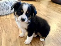 processed/e64b04ad-3050-471d-b0b2-bbe1ba7b2ec5/listing/82e5d87f-61af-4e23-90ce-df2ed26b1125/5afd95de-0497-49af-ac58-728e7bd35ae4