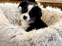 processed/e64b04ad-3050-471d-b0b2-bbe1ba7b2ec5/listing/82e5d87f-61af-4e23-90ce-df2ed26b1125/88e66035-b2cd-41f7-9ba7-062ee7cb54ab