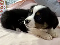 processed/e64b04ad-3050-471d-b0b2-bbe1ba7b2ec5/listing/82e5d87f-61af-4e23-90ce-df2ed26b1125/96a18bcd-d2b5-44a7-9019-e61ce84216a7