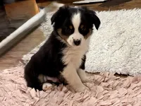 processed/e64b04ad-3050-471d-b0b2-bbe1ba7b2ec5/listing/82e5d87f-61af-4e23-90ce-df2ed26b1125/b08e2e6b-faeb-4435-a14e-24d2d3ea8861