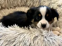 processed/e64b04ad-3050-471d-b0b2-bbe1ba7b2ec5/listing/82e5d87f-61af-4e23-90ce-df2ed26b1125/d9e5c340-cbf5-4ac5-92f0-50b4208ebc23