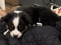 processed/e64b04ad-3050-471d-b0b2-bbe1ba7b2ec5/listing/82e5d87f-61af-4e23-90ce-df2ed26b1125/f8b00429-bd83-4dc7-83f1-147db626f039