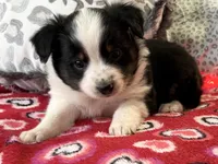 processed/e64b04ad-3050-471d-b0b2-bbe1ba7b2ec5/listing/cf96fdf8-1c74-49cb-ba1c-21c76af473f0/7663814a-dfb7-4474-ac0c-a77b289e2959