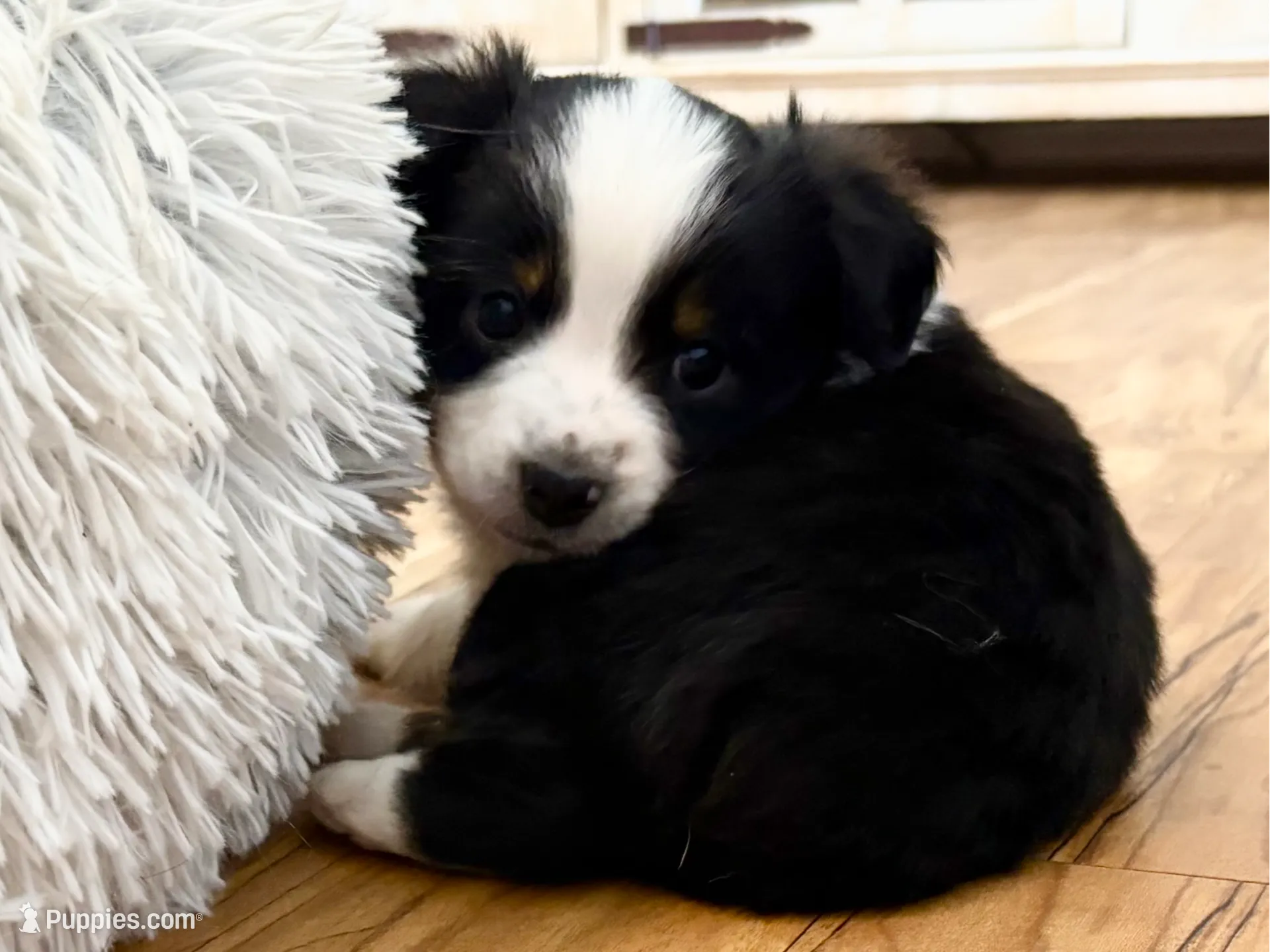 processed/e64b04ad-3050-471d-b0b2-bbe1ba7b2ec5/listing/cf96fdf8-1c74-49cb-ba1c-21c76af473f0/9635ade4-545d-43dc-806b-09d4631430f3