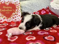 processed/e64b04ad-3050-471d-b0b2-bbe1ba7b2ec5/listing/cf96fdf8-1c74-49cb-ba1c-21c76af473f0/b0176282-446a-49b0-980e-d49094ee397c