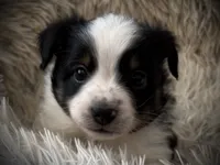 processed/e64b04ad-3050-471d-b0b2-bbe1ba7b2ec5/listing/cf96fdf8-1c74-49cb-ba1c-21c76af473f0/dcfaa5fe-a5d7-4009-84af-c703885151b4