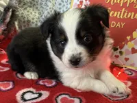 processed/e64b04ad-3050-471d-b0b2-bbe1ba7b2ec5/listing/cf96fdf8-1c74-49cb-ba1c-21c76af473f0/e11177c8-7153-490f-886d-a62d4e41b3a2