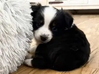 processed/e64b04ad-3050-471d-b0b2-bbe1ba7b2ec5/listing/cf96fdf8-1c74-49cb-ba1c-21c76af473f0/f99497a5-342d-4f61-ab1a-0660df67f602