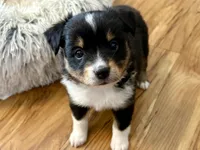 processed/e64b04ad-3050-471d-b0b2-bbe1ba7b2ec5/listing/d53bcc88-c604-44f7-9e57-2de188ad059d/0559b3de-7b1b-4168-9e2d-dddd8963fc95