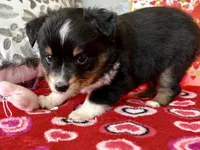 processed/e64b04ad-3050-471d-b0b2-bbe1ba7b2ec5/listing/d53bcc88-c604-44f7-9e57-2de188ad059d/1bf7e35f-1e50-4a63-97fa-5d6a8a87de6a