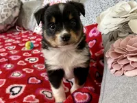 processed/e64b04ad-3050-471d-b0b2-bbe1ba7b2ec5/listing/d53bcc88-c604-44f7-9e57-2de188ad059d/2f9f0a40-bfd2-42e0-817b-8cbfde7fcdde