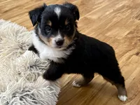 processed/e64b04ad-3050-471d-b0b2-bbe1ba7b2ec5/listing/d53bcc88-c604-44f7-9e57-2de188ad059d/7b2fd870-f85d-4670-853b-1c0ffc7f83f5