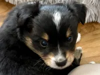 processed/e64b04ad-3050-471d-b0b2-bbe1ba7b2ec5/listing/d53bcc88-c604-44f7-9e57-2de188ad059d/bc561ae0-17b0-428a-bd75-3959206f8276