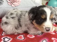 processed/e64b04ad-3050-471d-b0b2-bbe1ba7b2ec5/listing/e619be8a-aade-49b6-8298-e1849fced21a/0fc2b782-92c0-4e3a-b7ce-eb90028f6a91