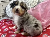 processed/e64b04ad-3050-471d-b0b2-bbe1ba7b2ec5/listing/e619be8a-aade-49b6-8298-e1849fced21a/2d218983-c656-4e91-9b4a-0bdee78f61db